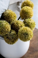 Çift Kişilik Berta İndigo Elegance Saten Nevresim Takımı