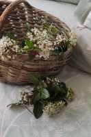 Çift Kişilik Elysian Adaçayı Pike Takımı