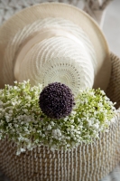 Çift Kişilik Franny Rose Elegance Saten Nevresim Takımı