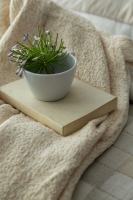 Çift Kişilik Piazza Bej Timeless Yatak Örtüsü Nevresim Prime Set