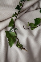 Çift Kişilik Tanya Bej Nevresimli Bambu Pike Takımı