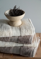 Lotus 90x150 CM Ekru/Vizon Havlu Aile Seti