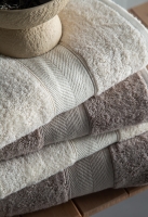 Lotus 90x150 CM Ekru/Vizon Havlu Aile Seti